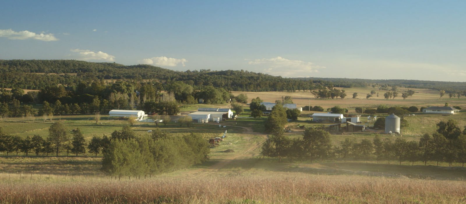 Woolgrower Matthew Coddington